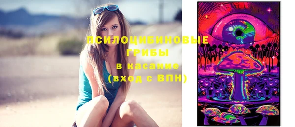 apvp Арсеньев