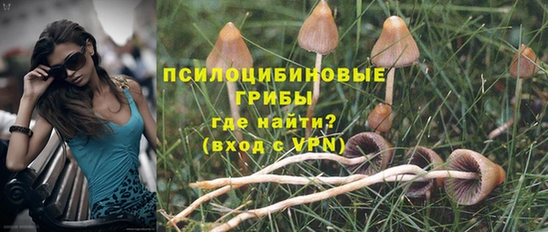 спиды Аркадак