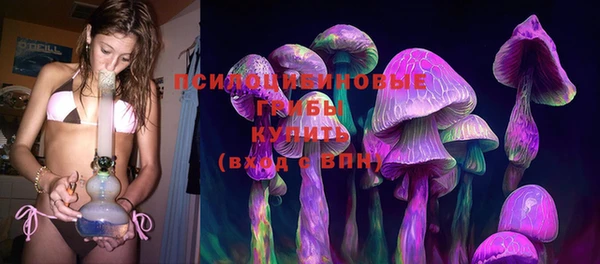 apvp Арсеньев