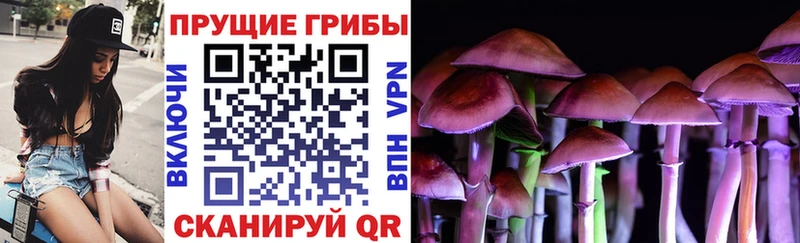 Галлюциногенные грибы ЛСД  Порхов 