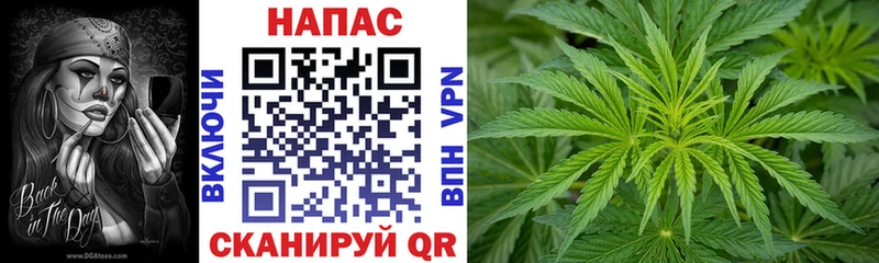 Бошки марихуана индика  OMG как войти  Порхов 